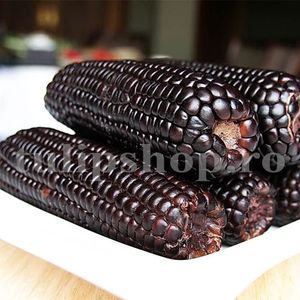 Seminte porumb dulce Aztec Black 30buc.; Pret: 5 lei/plic. Pachetul contine 30 de seminte sigilate intr-un pachet cu atmosfera protectoare, ferite de umiditate si lumina solara.
