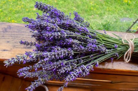 12.07.2019; Levantica
