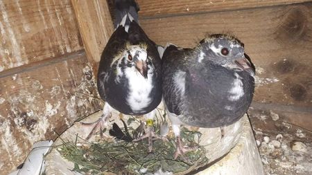 received_2275145559466537