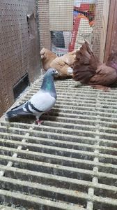 IMG-20190115-WA0045