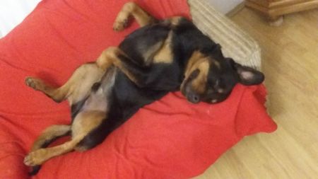 relaxare