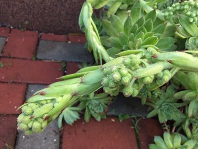 05BBD17F-81E3-44FB-8D18-E285B87AFCBB