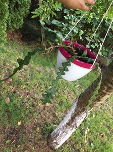 C6480EEF-165C-43B3-B5BE-C32279806DAF