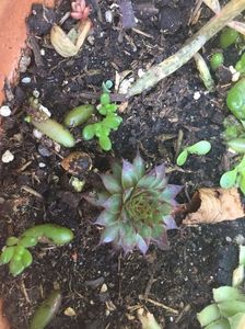 C48CA686-C7D6-4DDA-945A-EB9DBA91565D