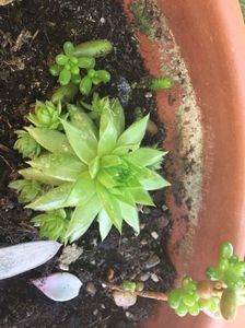 1DB17724-DC3B-4017-8A1B-8BEB585FB76F