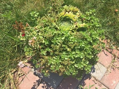 0A6E93D1-2845-4F70-9C82-F6D48DFF659E