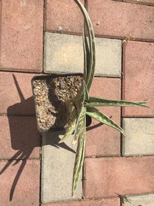 AD6AC79B-6180-487B-9361-203AE6571E37