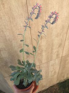 0A46C957-17D7-45F3-AC13-DB4A0A56AFFF