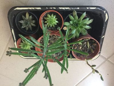 0A05252C-763E-4407-9EEF-82021B52483D