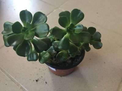 D498D012-45B9-4091-A360-CB68CE0A6FBE