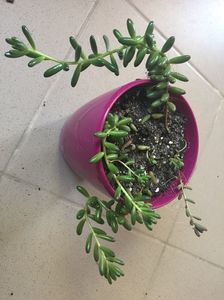 9CB5B495-6E8C-4DCA-90E6-ADDD68942F27