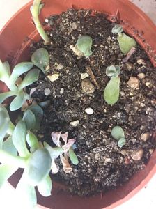 5E91AAD0-C910-4268-B130-97AC944B9379