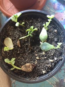 81A03974-0F78-448B-8040-1E3C0959C2DB