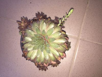 7B57FEF1-00AB-4B93-8DAD-8B2BBEAEF083