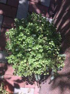 B7F6A8EC-9FCE-4B35-BAF3-3BDA27D30B99