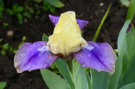 P1390790