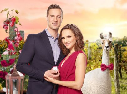 Valentine in the vineyard