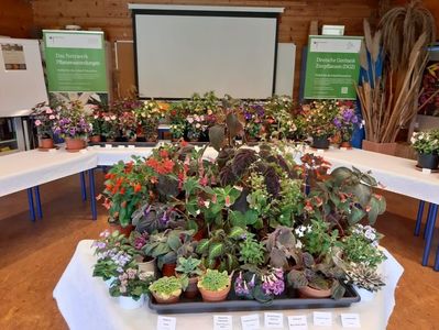 Expo din Hamburg; 27.07.2019
