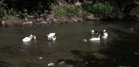 20190718_085420(0)