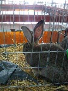 Photo0097