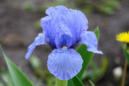 P1400105
