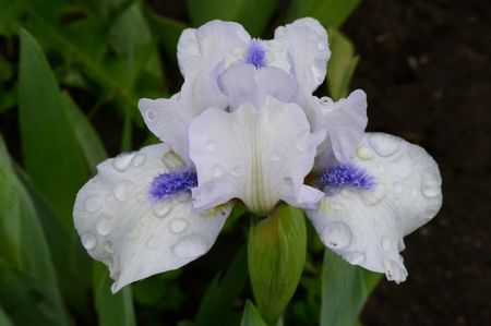 P1400634