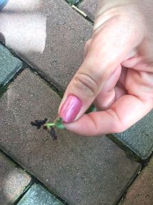 71EA99F4-366B-4EDD-B28B-28A05B7758FD