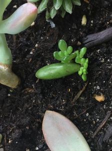 BFD3D9EB-F989-4F80-9700-57F1D9FD04B3