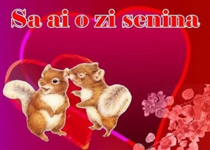 hotelierii-pregatesc-un-adevarat-arsenal-romantic-pentru-valentine-s-day-127356