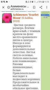 Screenshot_20190810-111346_Chrome