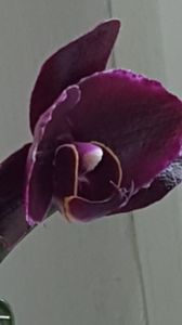 thumbnail - 2019-07-05T220352.163