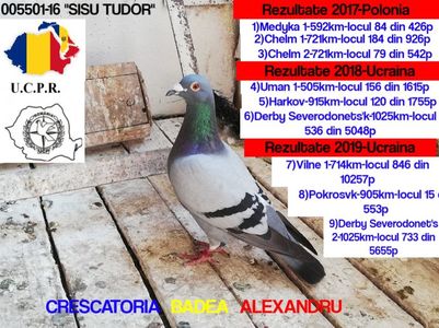 Sisu Tudor-005501-16
