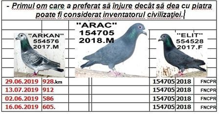 .1 ARAC