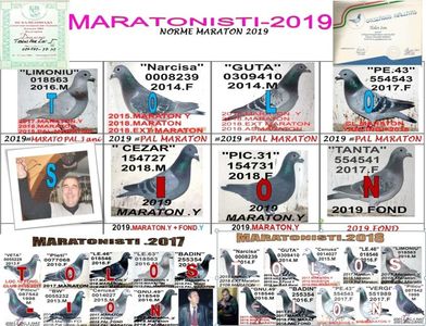 .2019 norme maraton