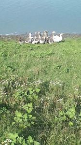VideoCapture_20190820-131655