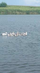 VideoCapture_20190820-131252