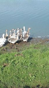 VideoCapture_20190820-131718