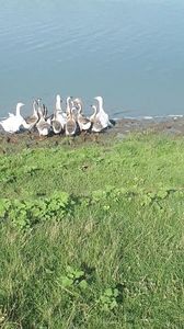 VideoCapture_20190820-131710