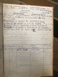 O pereche foarte reușită; Procuroru-Fenomen.Perechea lui preferata care a scos pe unul din cele mai bune păsări pe care le am avut Apas (3567/06)Frumoasa descrie a porumbitei pe care el a numit-o fenomen al naturii.
