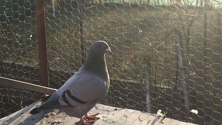 9C3F938E-4C70-4AB0-B96C-86752E7E23CF