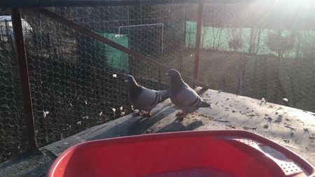 708E9E79-1F61-4AB1-84B1-168BACF7CC23