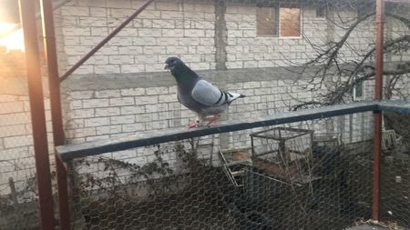 A99327A7-C96C-4DCE-9815-5BF7EA1F4166