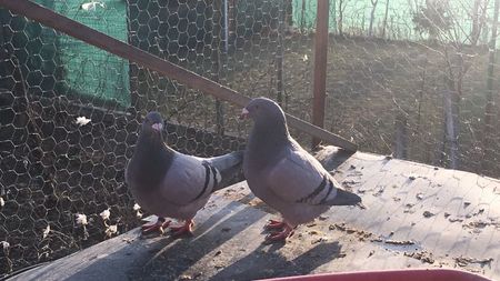 E549BA7A-1E5A-4B8D-A1AD-BA658DF7AF2F