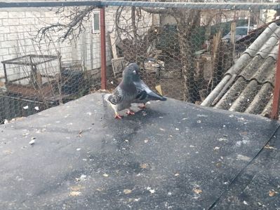 38F9D969-0EEE-4A44-9E88-F06F8F01438C