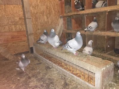 800AED84-0322-4AA4-BF34-0FD606F271AC