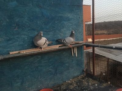 30151E9E-6ACC-4456-80AC-95E1942DA22F