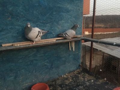 27254386-2CB2-4FA3-886C-D1E0E2E1FC85