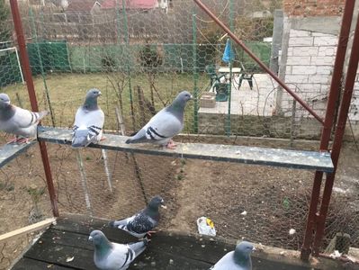 7842817C-D6A9-4A23-BE77-553D4B5027BE