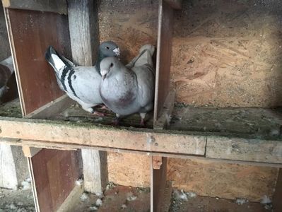 AC1F68C7-F9E2-4024-BE4B-9787C0149769