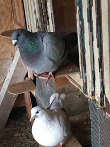 65061FAB-1E44-4210-A6B2-15F9C89391B6